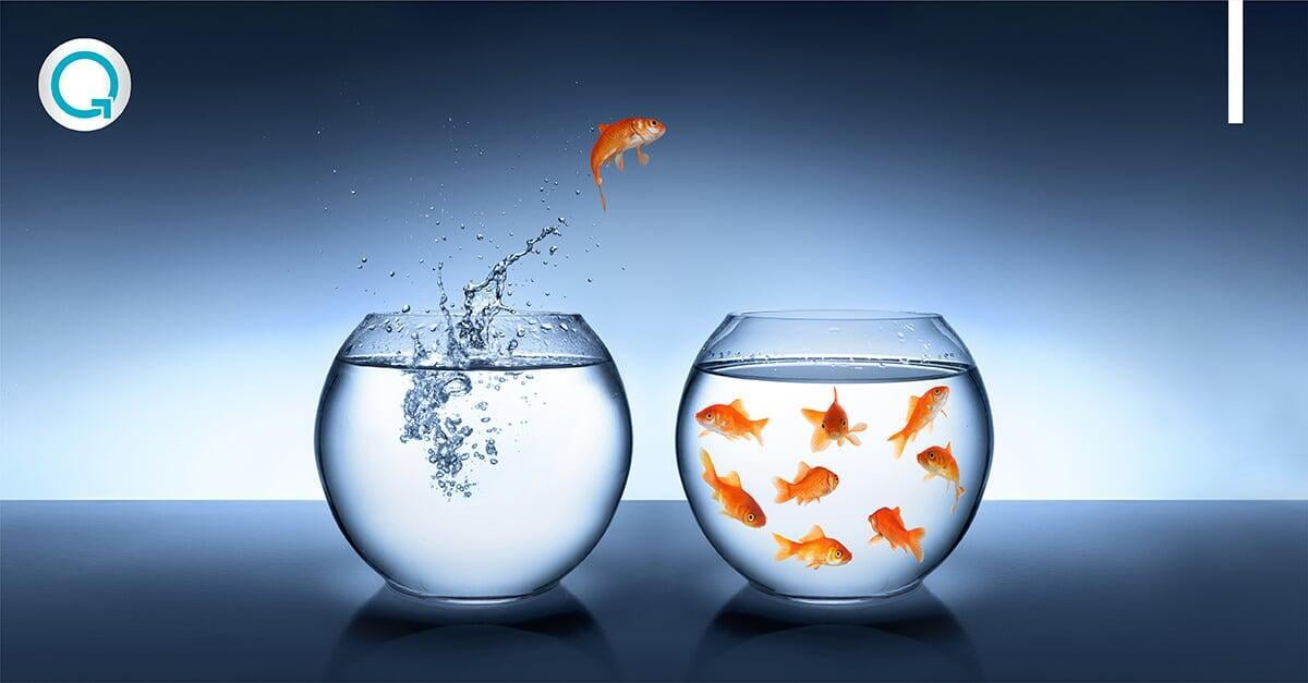 BrandQuantum | Why Brand Health Matters BrandQuantum | Why Brand Health Matters